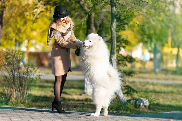 Veterinary Coordination and Compliance Preparation​